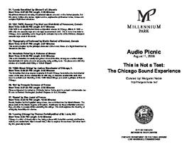 Chicago Sound Experience (1)